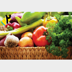 مشارکت در تامین سرمایه افزایش شعب مزرعههای ارگانا مرحله دوم